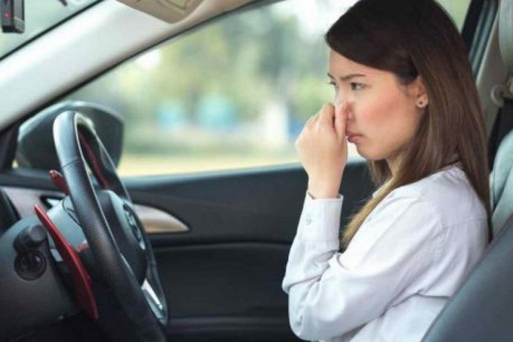 Неприятный запах в автомобиле: определяем причины и ищем методы устранения
