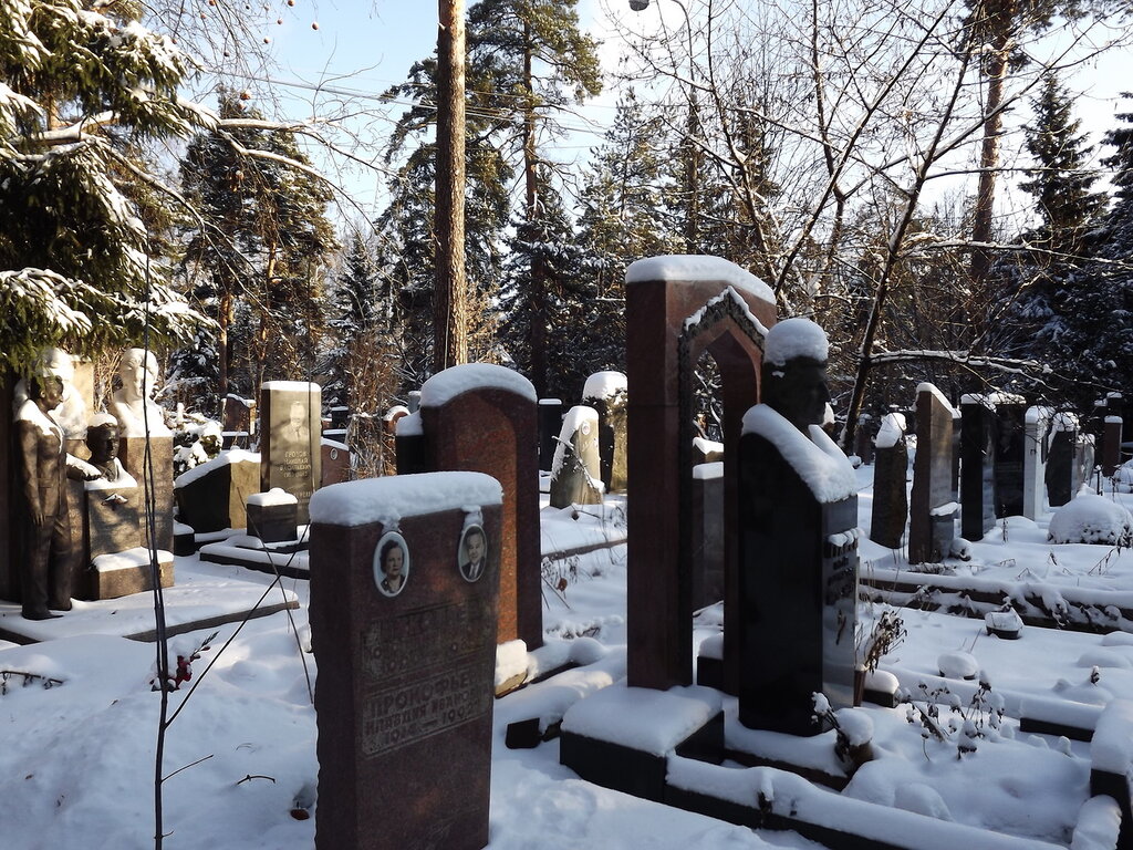 Можно ли убрать кладбище. Рябиновая 20 Кунцевское кладбище. Кунцевское кладбище могилы. Могила зимой. Могила на кладбище зимой.