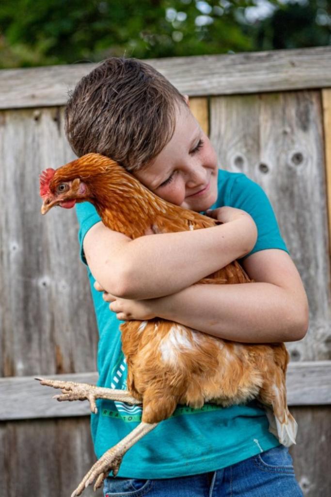 Как стать курицей. Человек курица. Курица подросток. Девушка обнимает курицу. Курочки обнимаются.