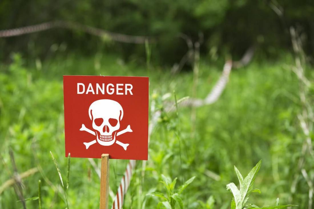 Natural dangerous. Опасно яд. Poison Plants sign. Danger nature. Toxic Plants.