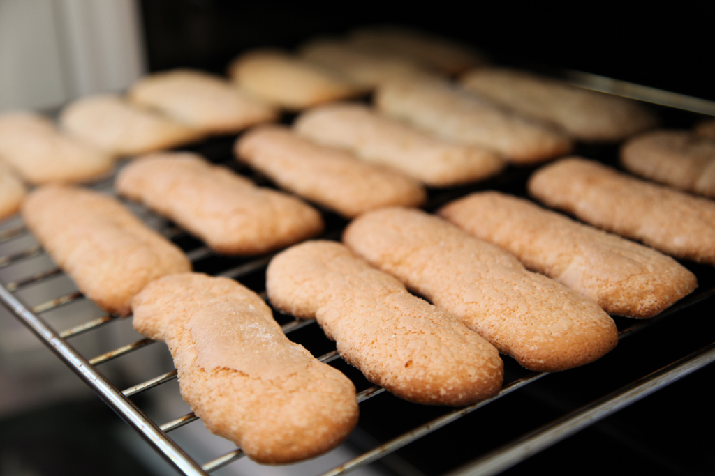 Домашнее печенье савоярди. Бисквитное печенье «дамские пальчики» («савоярди»). Отсаживаем савоярди. Тирамису с печеньем савоярди.