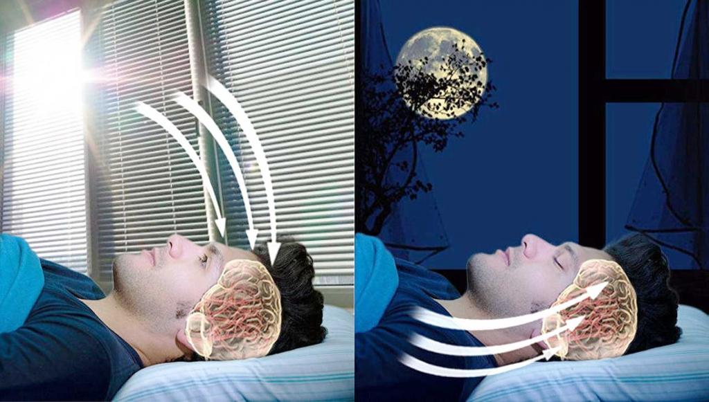 Работа мозга во время сна. Сон и бодрствование. Сон и мозг человека. Сновидения мозг.