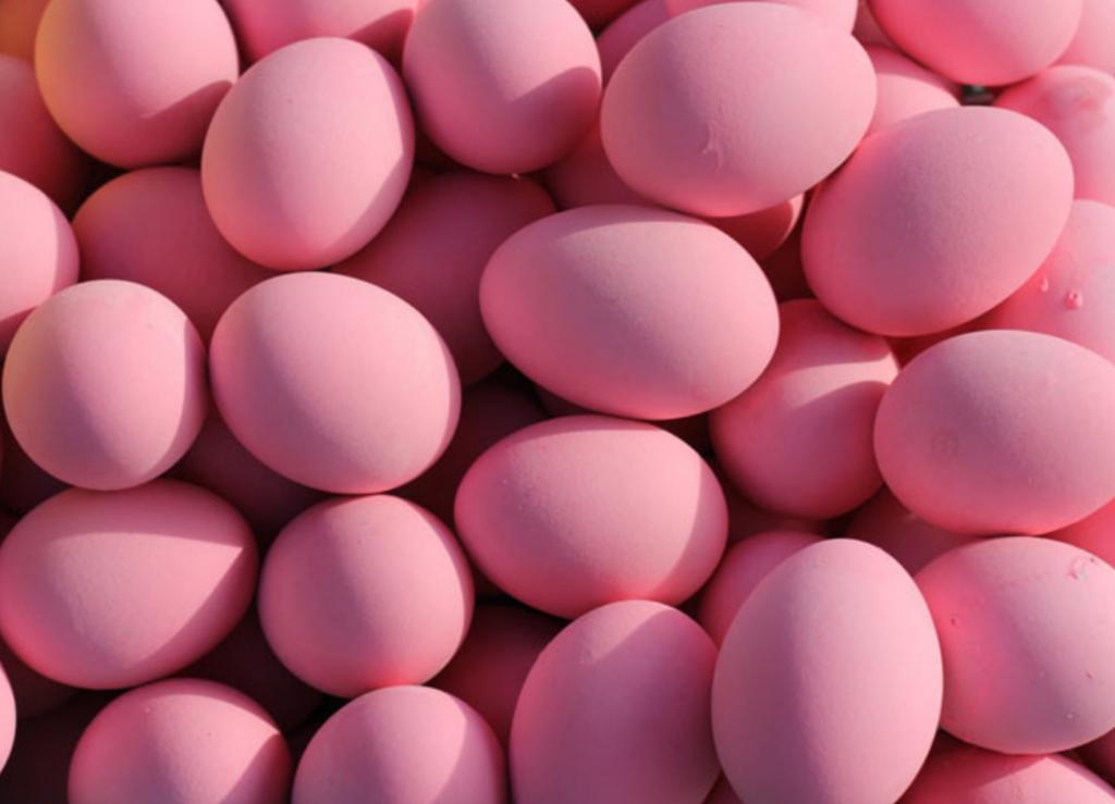 Розовое яйцо порода. Яйцо розовое. Розовые пасхальные яйца. Яйца розового цвета. Розовые яйца куриные.