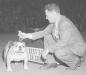 Выставка собак липецк 2024. Первая собачья выставка в мире. На выставке собак. Собака 1980. Первые выставки собак в мире.