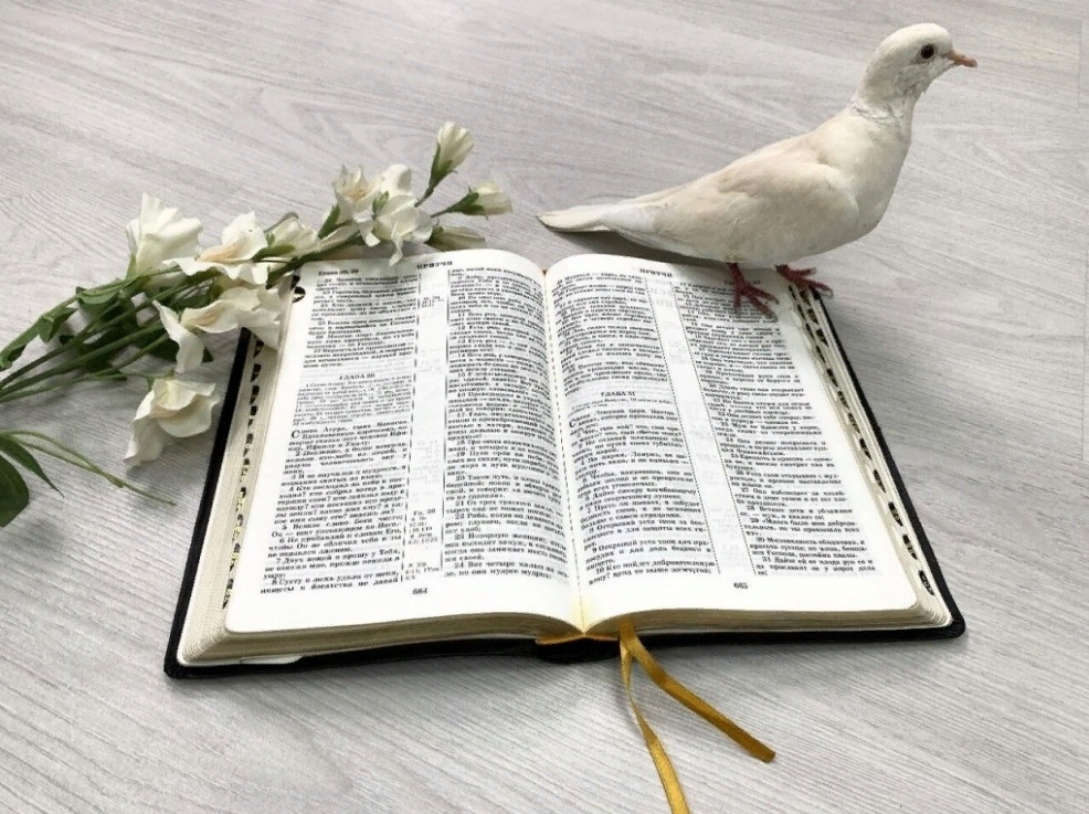 Слово божье книга. Слово Божье. Голубь и Библия. Читай Библию. Слово Божие книга.