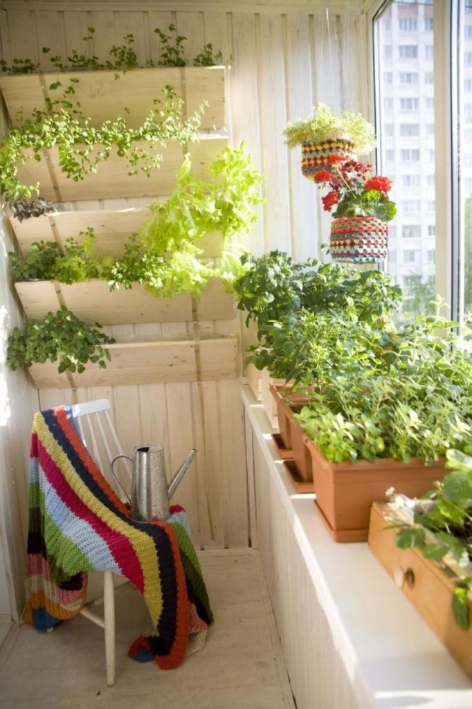 Огород в ящиках: секреты выращивания культур даже на балконе