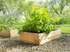 Огород в ящиках: секреты выращивания культур даже на балконе