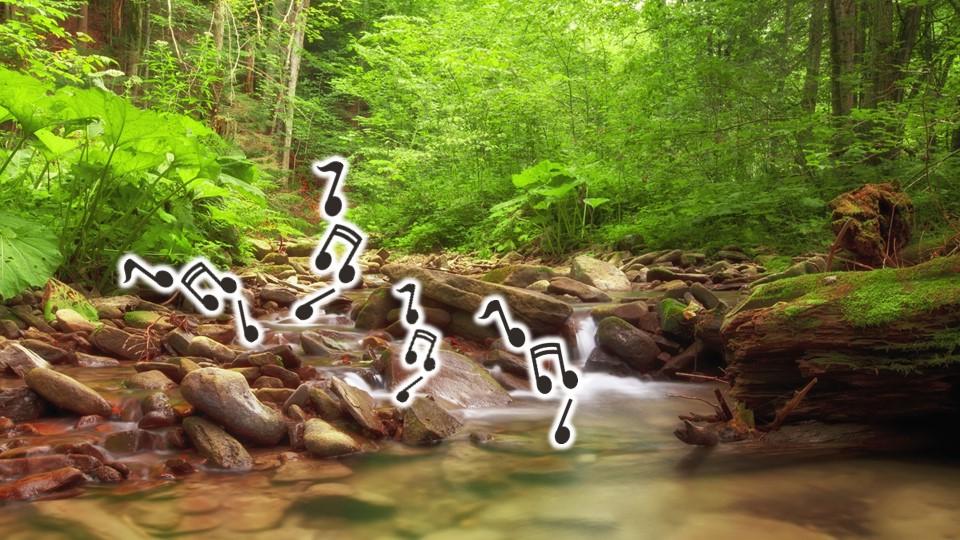 Звуки природы усыпляющее. Музыкальный лес. Звуки природы картинки. Имитация звуков природы. Звуки окружающий среды.
