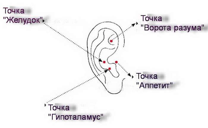 Кис точка. Акупунктурные точки на ухе для снижения веса. Акупунктурные точки на ухе для похудения. Акупунктура уха точки для похудения. Схема точек акупунктуры ушной раковины.
