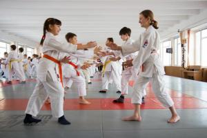 Ушу или Карате: какие боевые искусства подходят девочкам и какая польза