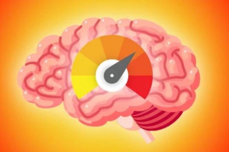 Снижаются когнитивные функции: нейробиолог объяснила, как жара влияет на наш мозг, и как себе помочь