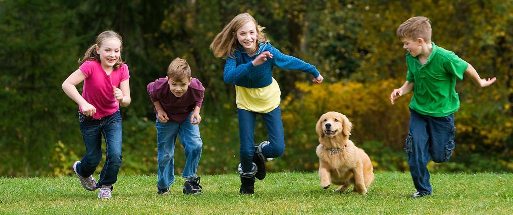 Мальчик играющий с собакой. Прогулка в парке с детьми. Дети на прогулке. Прогулка с ребенком и собакой. Прогулки на свежем воздухе.