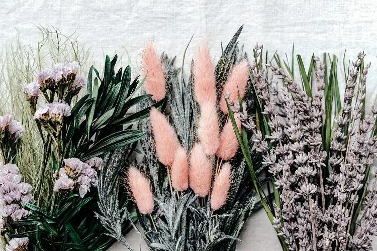 Как правильно засушить гербарий из цветов своими руками