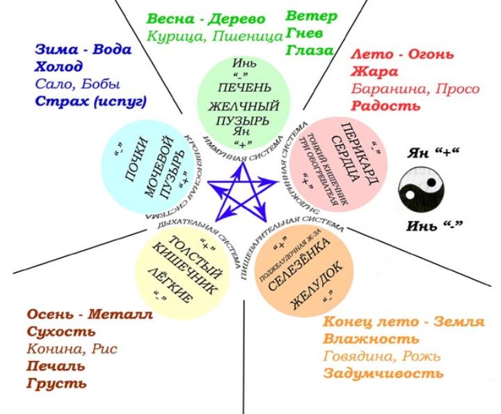 5 элементов человека. 5 Элементов стихий фен шуй. Питание по китайской системе 5 элементов. Система у син 5 элементов. Круг у-син 5 элементов.