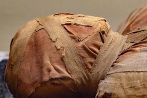 Мумия с золотым языком: египетские археологи обнаружили древние гробницы со странными останками