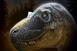Король динозавров: тираннозавр с рогами вокруг глаз бродил по Северной Америке 76 миллионов лет назад