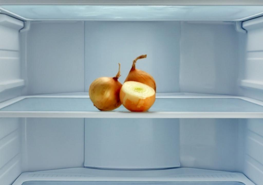 Репчатый лук в морозилке. Луковица в холодильнике. Лук в холодильнике. Пустой холодильник.