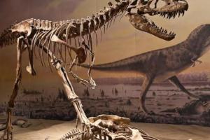 Какие динозавры были бы наиболее уязвимыми, если бы дожили до наших дней