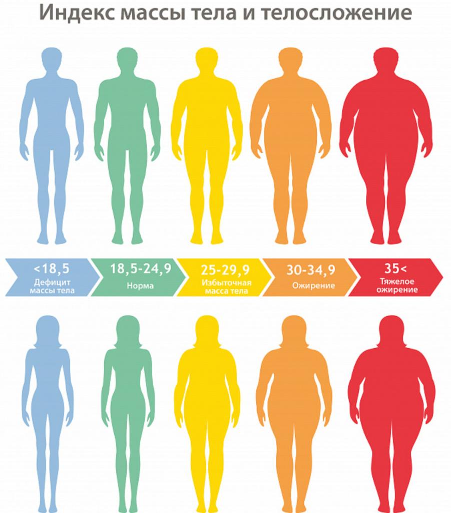 Нормальный индекс массы тела человека