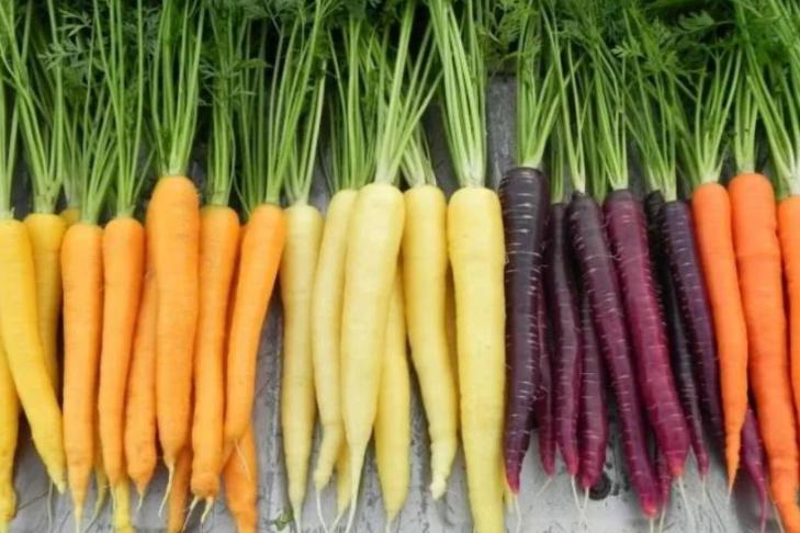 Морковь какого цвета обладает уникальным геномом и что делает ее полезной для здоровья