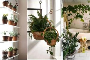 Декоративные кашпо, на линии подоконника и в ванной: растения в доме - где разместить, какие выбрать и как ухаживать