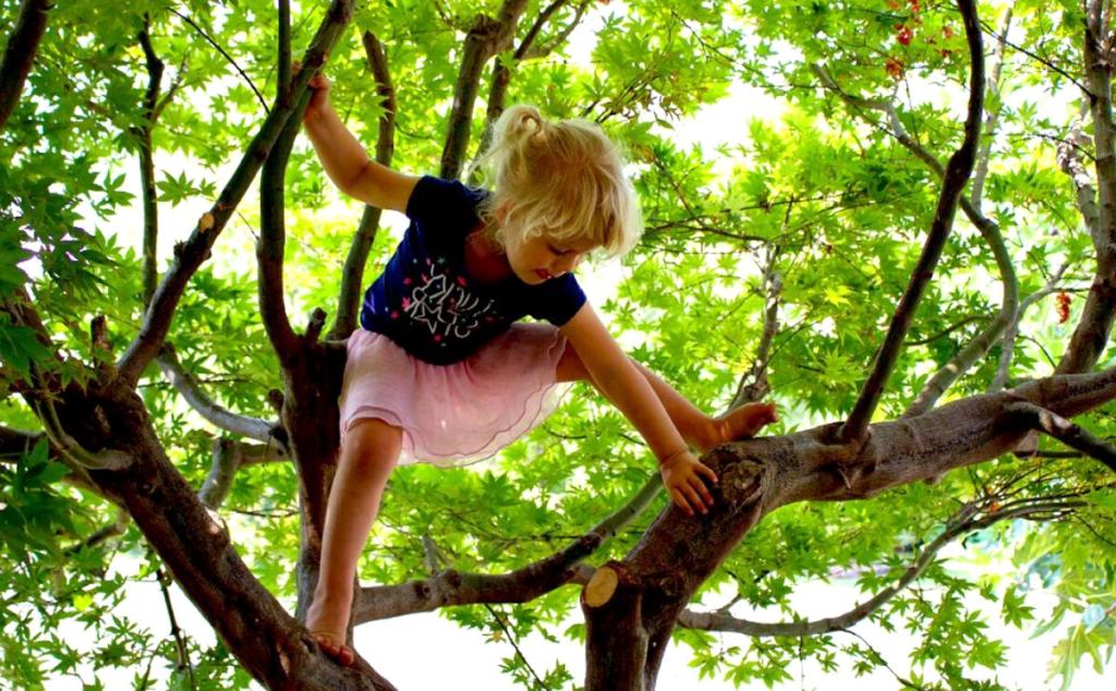 Забираться в чащу. Лазать по деревьям. Дети лазят по деревьям. Дерево для детей. Лазание по деревьям.