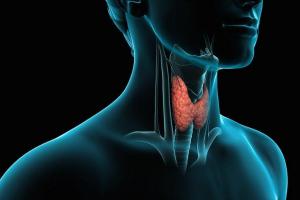 "Дирижер" всего организма: почему важно постоянно следить за состоянием щитовидной железы