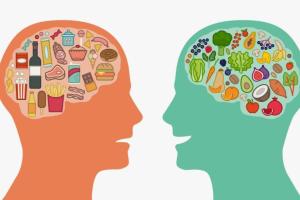 Питаемся с умом: как приучить свой мозг хотеть здоровую еду