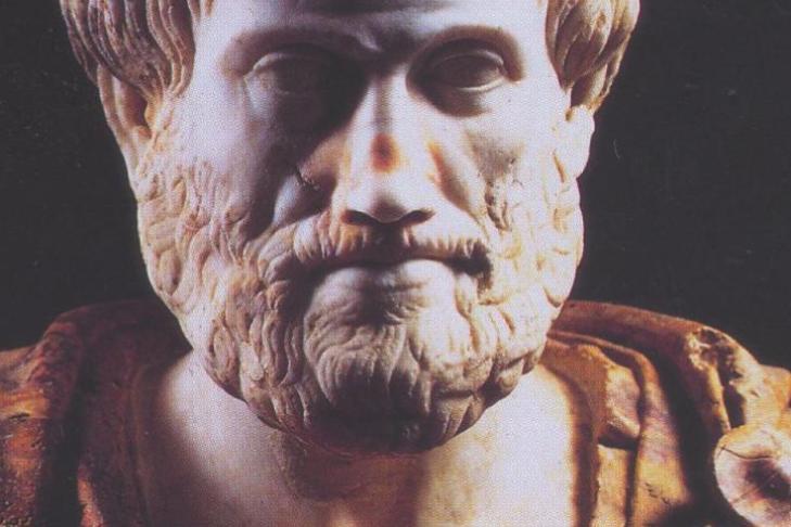 Почему его называют отцом философии: открытия Аристотеля, которые мы должны знать