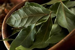 Порошок лаврового листа и кайенский перец: защищаем террасу и растения на ней от вредителей натуральными способами