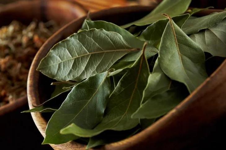 Порошок лаврового листа и кайенский перец: защищаем террасу и растения на ней от вредителей натуральными способами
