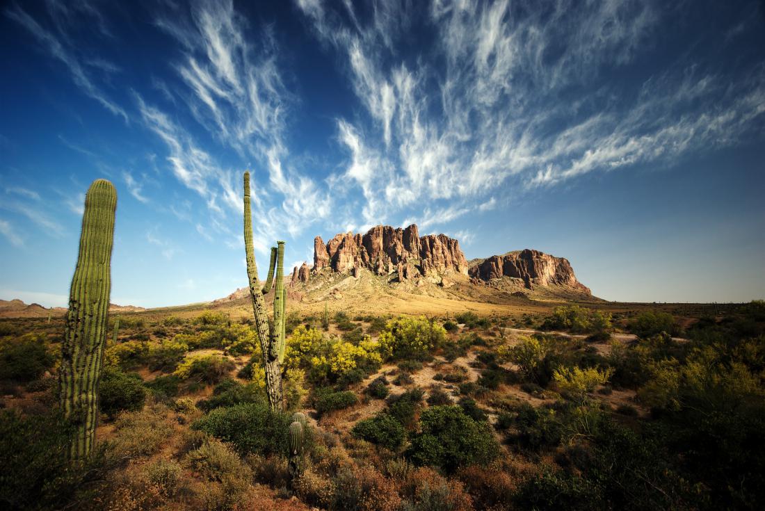 Природные объекты мексики. Штат Сонора Мексика. Пустыня Сонора Аризона. Пустыня Сонора Северная Америка. Национальный парк Сагуаро штат Аризона.