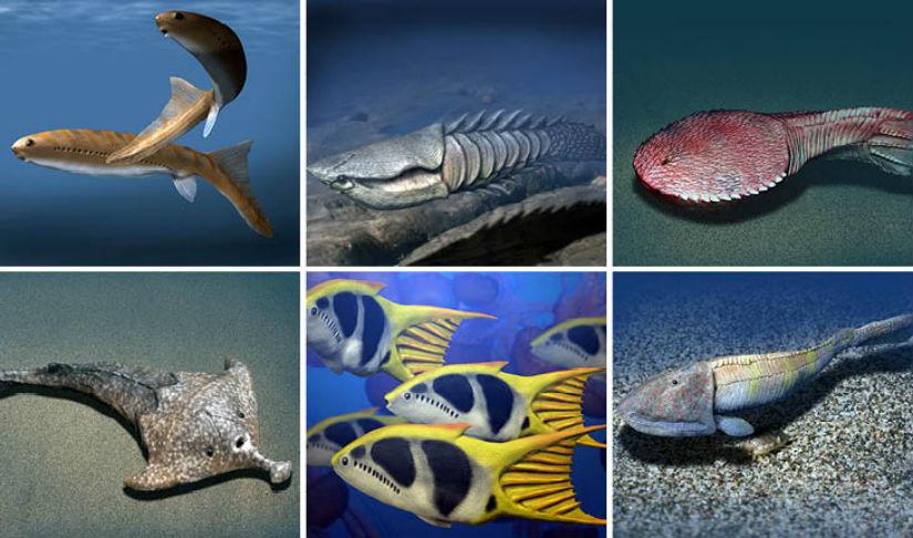 Какими были первые рыбы. Первые позвоночные рыбы. Первые рыбы на земле. Первые позвоночные животные на земле. Разные обитатели мелководья.