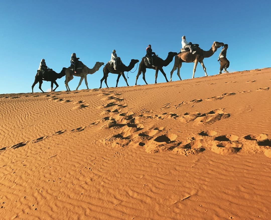 Большой караван. Пустыня Караван Оазис. Пустыня Барханы Оазис. Сахара Оазис. Экскурсия Тунис сахара Барханы.