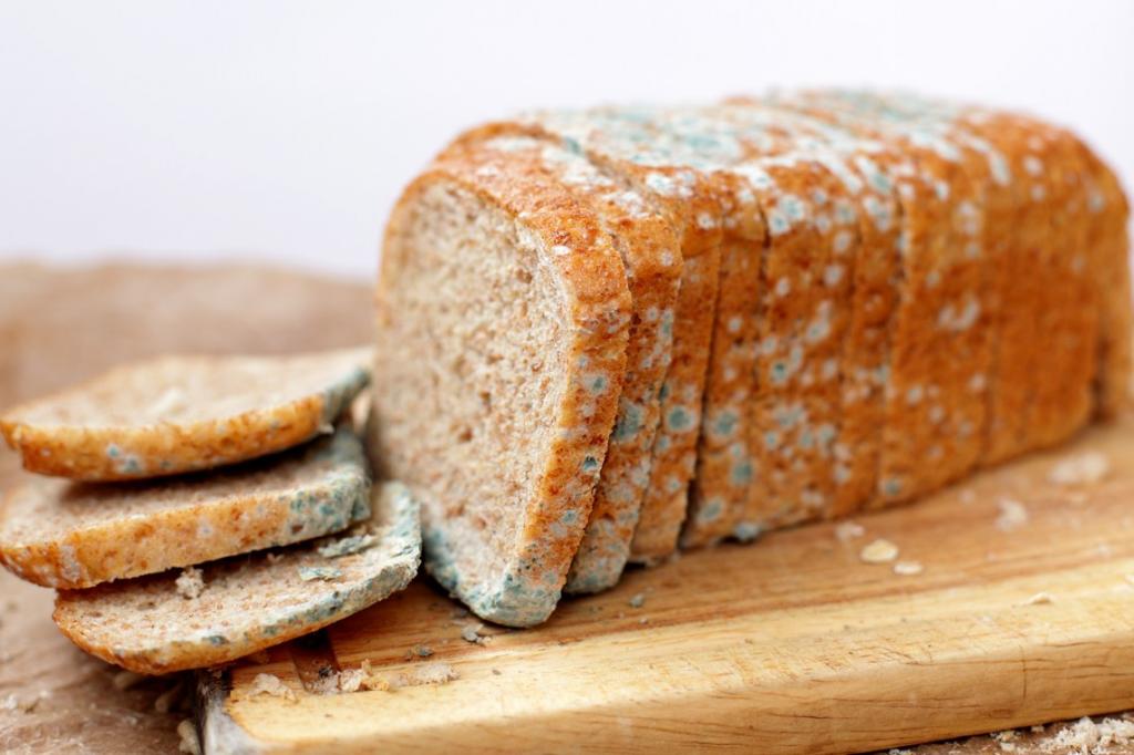 Приятного аппетита: «Столовая № 14» накормила петербургских лицеистов хлебом с плесенью
