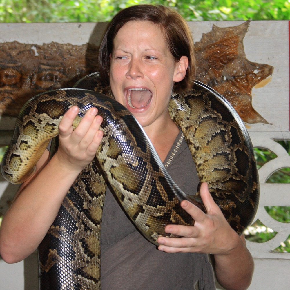 Люди боящиеся змей. Офидиофобия — страх змей.