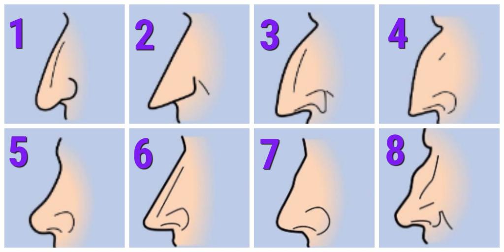 Виды носов. Разные формы носа. Нубийский нос. Форма носа картинки. Разные виды Носов.