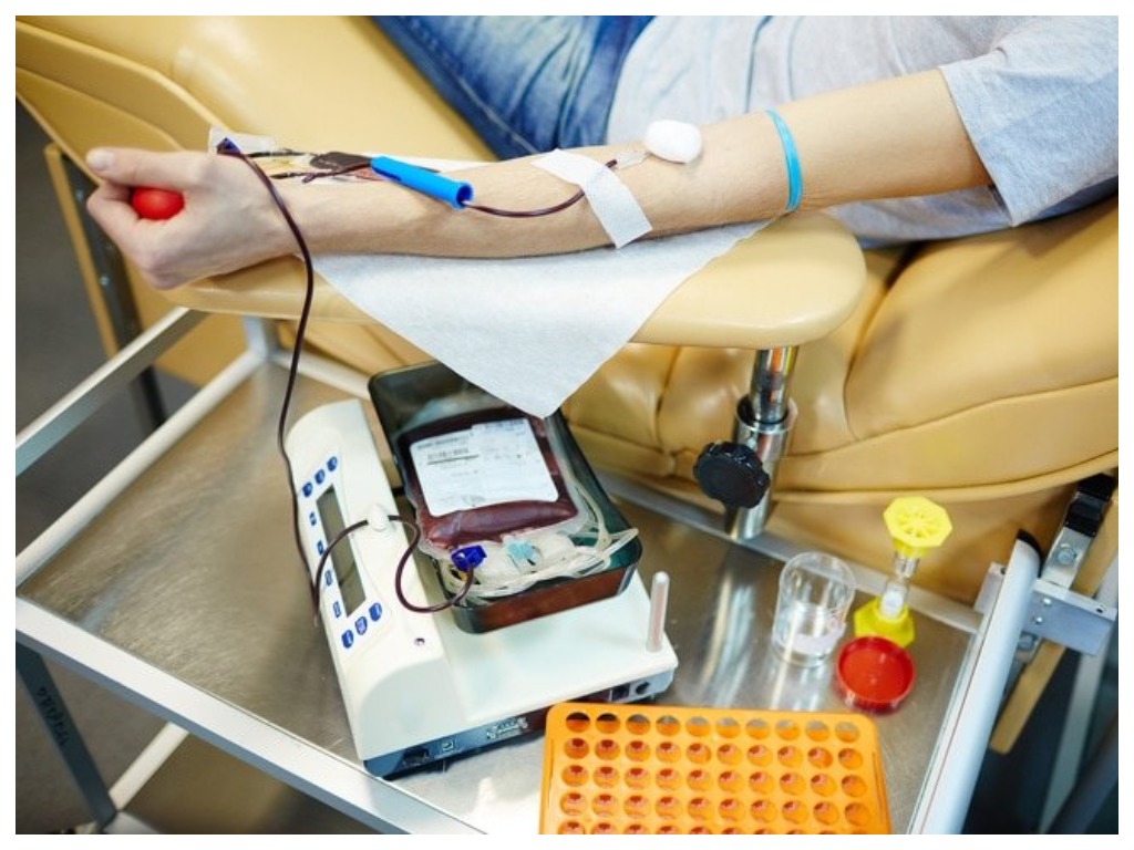 Переливание крови цена