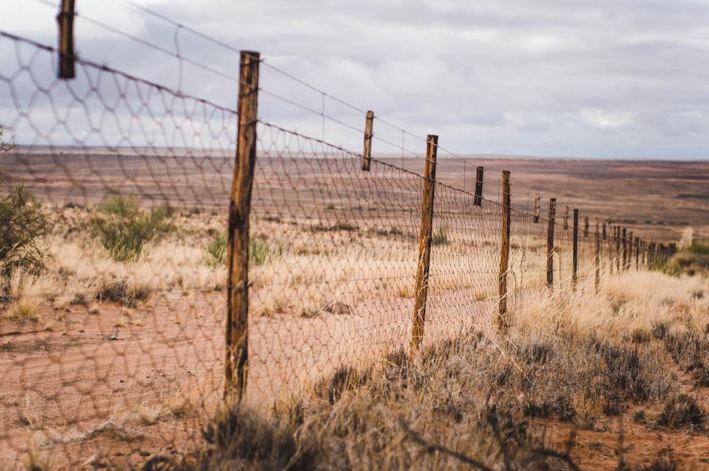 Забор в австралии реальное