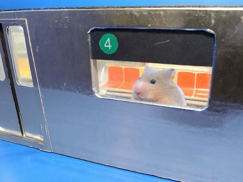 Мыши в метро
