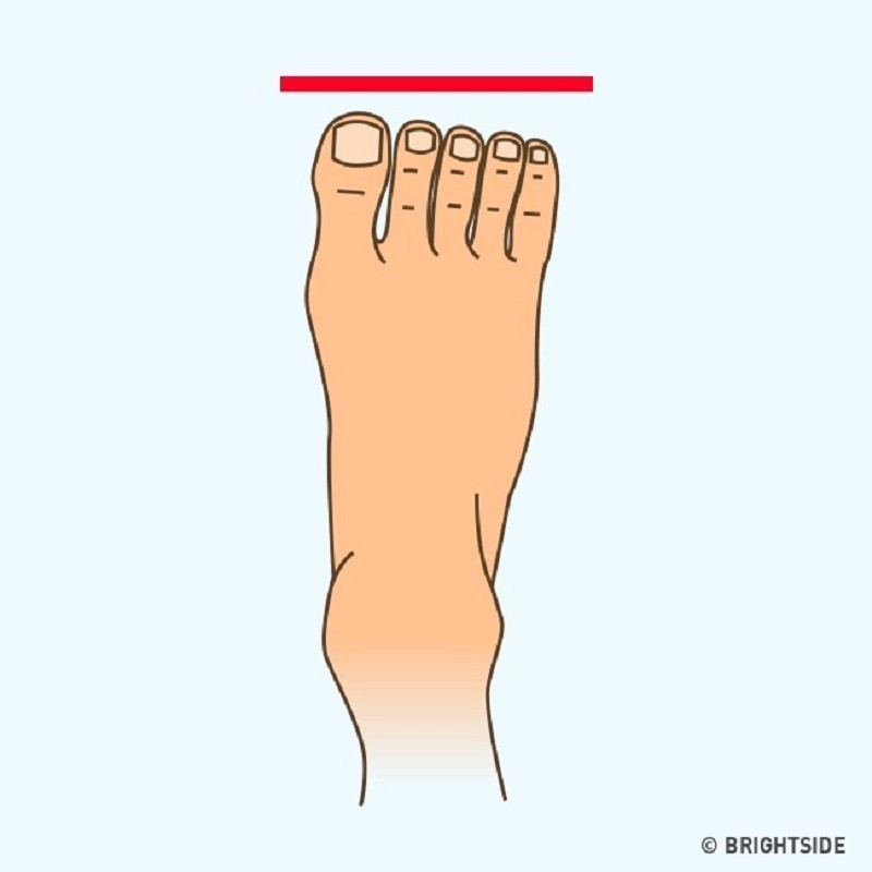 Какие бывают пальцы ног. Идеальная форма стопы. Название пальцев на ноге.
