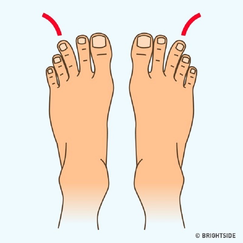 Почему второй палец. Расположение пальцев на ногах. Форма стопы человека. Форма пальцев на ногах.