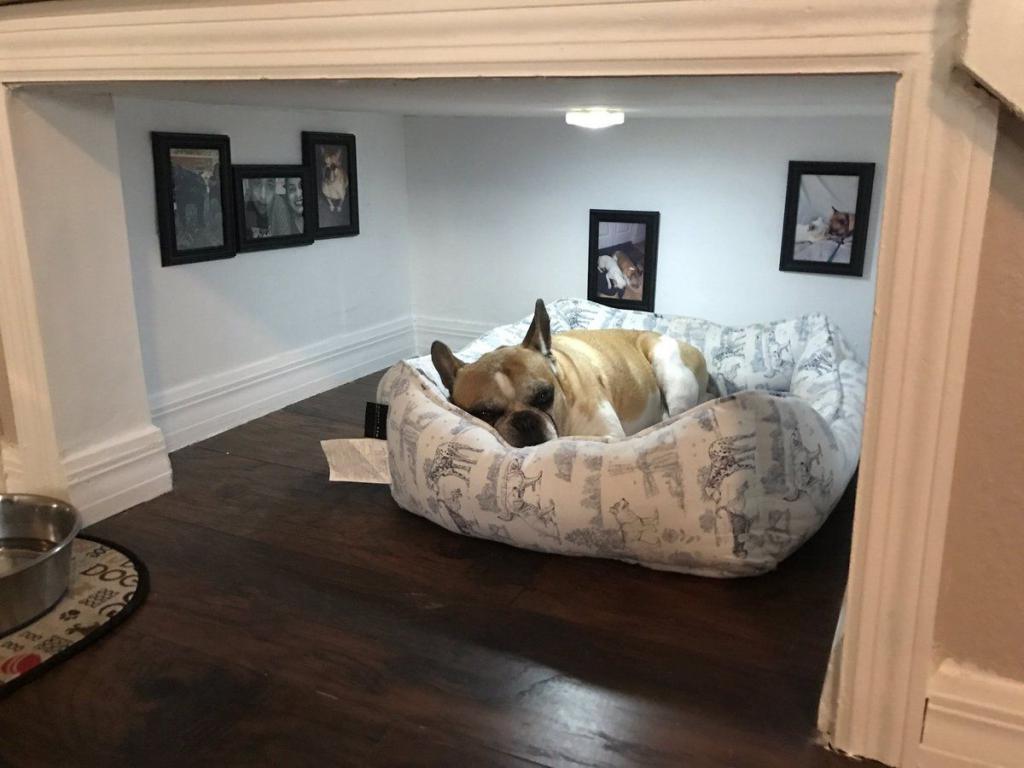 место для собаки в квартире фото