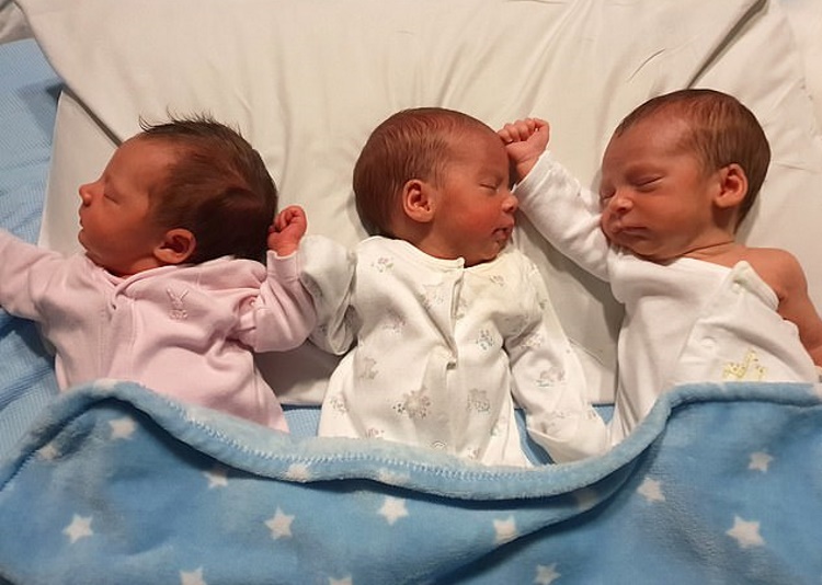 Дети рожденные 2014 году. Двойня и тройня. Тройня мальчики. Тройняшки мальчики Новорожденные. Тройня близнецов.