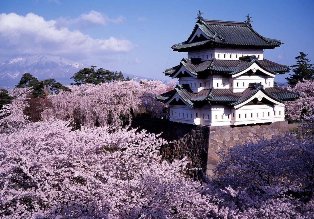 «Замок Хиросаки дзе»