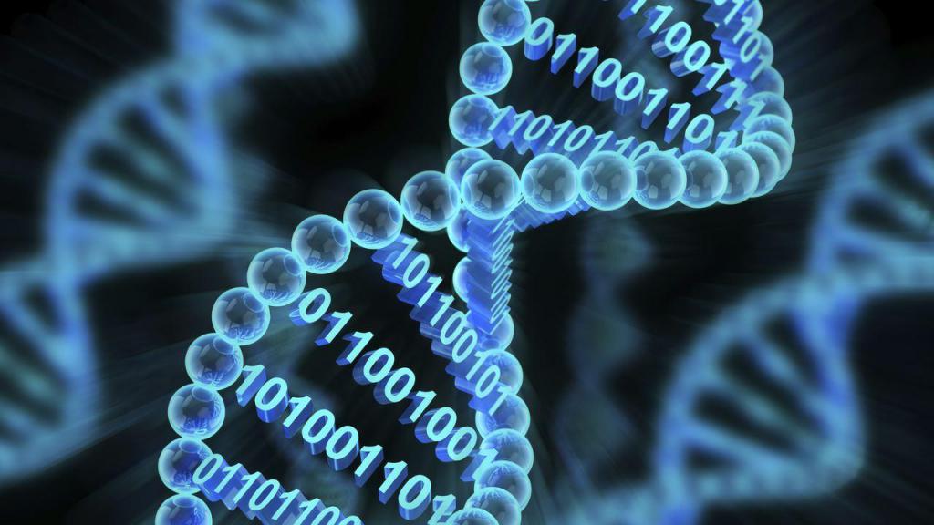 компьютерная ДНК