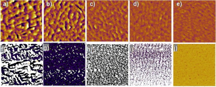 Division of domains in ferroelectrics