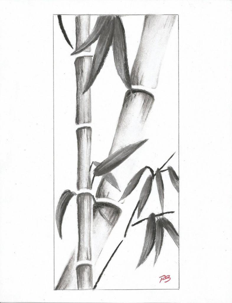 Рисунок бамбука