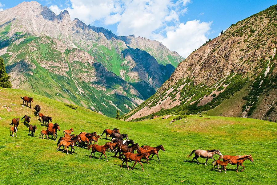 Кыргызстан это киргизия или нет. Пейзаж Кыргызстан джайлоо. Киргизия и Кыргызстан. Ферганская Долина Киргизия. Киргизия горы Долина Арашан.