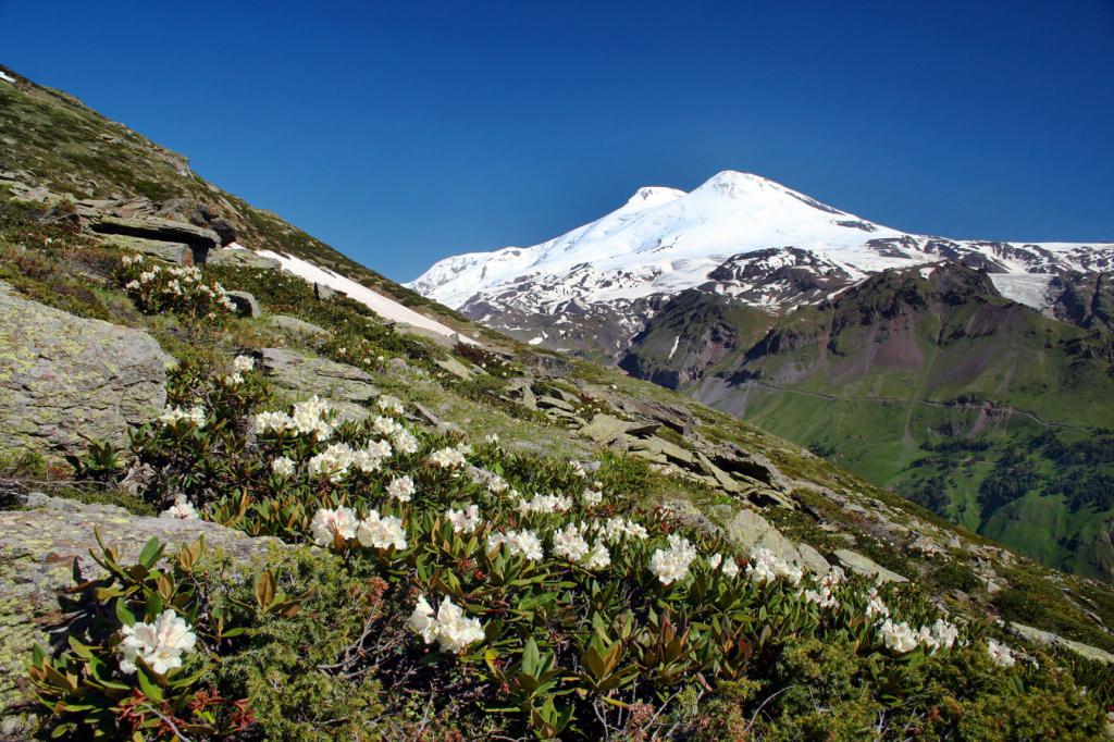 Вид на Эльбрус с соседних вершин